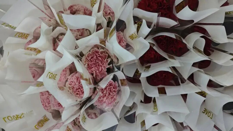 致敬她力量，开放她风采——币博286币博286科技 进行庆祝“三八”国际妇女节主题活动